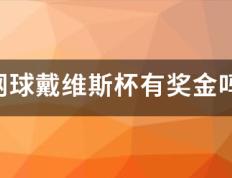 网球戴维斯杯有奖金吗